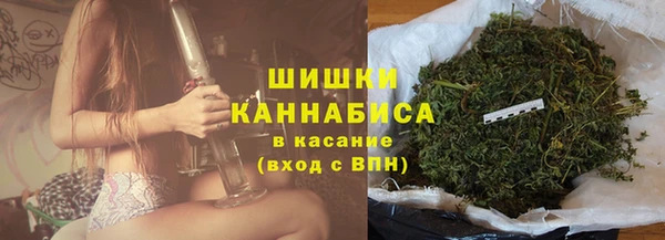 круглые Аркадак