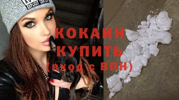 шишки Армянск