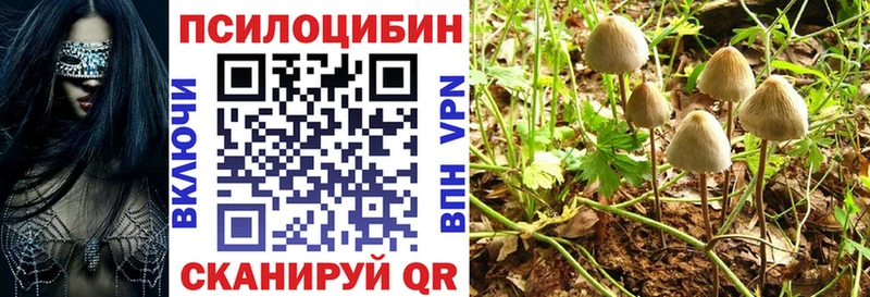 Псилоцибиновые грибы мицелий  Краснотурьинск 
